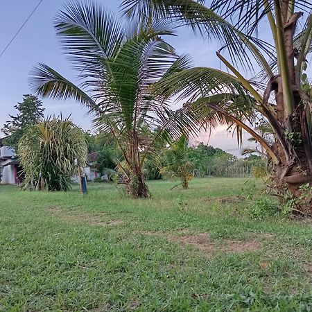 Sunshine Cafe Tangalle Exterior foto