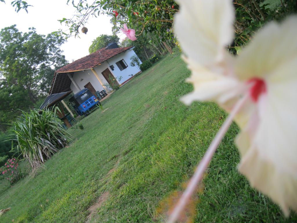 Sunshine Cafe Tangalle Exterior foto