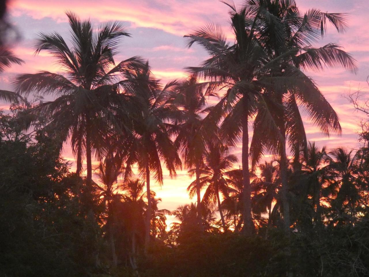 Sunshine Cafe Tangalle Exterior foto