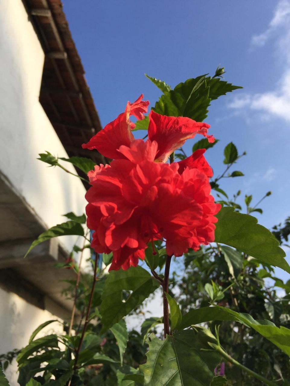Sunshine Cafe Tangalle Exterior foto